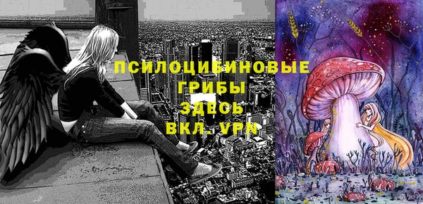 экстази Богородск