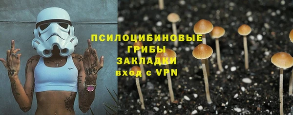ГАЛЛЮЦИНОГЕННЫЕ ГРИБЫ Богородицк