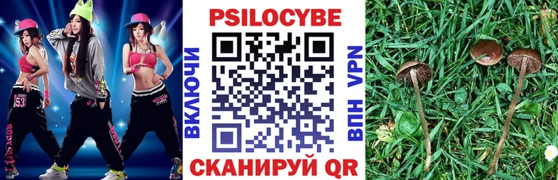 наркота  Светлогорск  darknet формула  Галлюциногенные грибы Psilocybe 