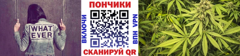 гидра ссылка  наркота  Светлогорск  Шишки марихуана индика 